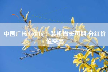 中国广核(003816)：装机增长可期 分红价值突出