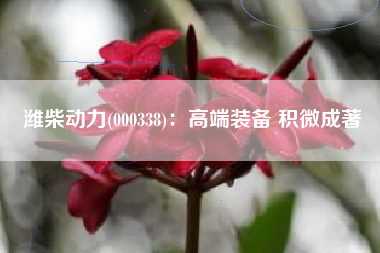 潍柴动力(000338)：高端装备 积微成著