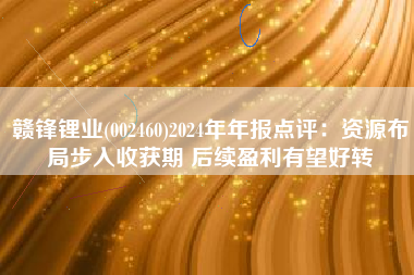 赣锋锂业(002460)2024年年报点评：资源布局步入收获期 后续盈利有望好转