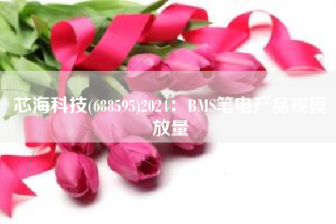 芯海科技(688595)2024：BMS笔电产品规模放量