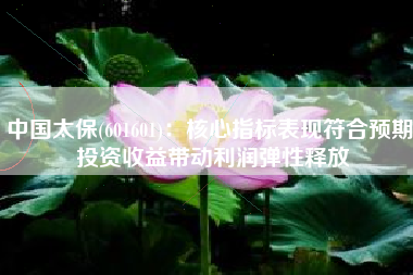 中国太保(601601)：核心指标表现符合预期 投资收益带动利润弹性释放