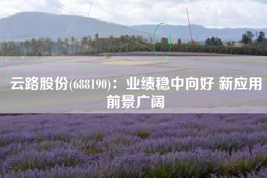 云路股份(688190)：业绩稳中向好 新应用前景广阔