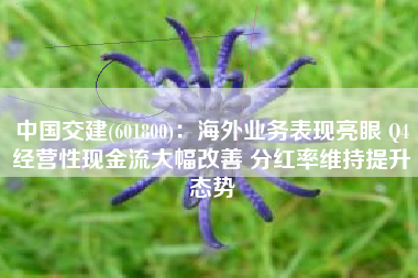 中国交建(601800)：海外业务表现亮眼 Q4经营性现金流大幅改善 分红率维持提升态势