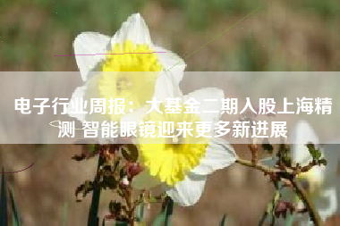 电子行业周报：大基金二期入股上海精测 智能眼镜迎来更多新进展