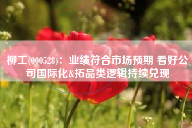 柳工(000528)：业绩符合市场预期 看好公司国际化&拓品类逻辑持续兑现