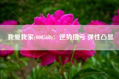 我爱我家(000560)：逆势扭亏 弹性凸显
