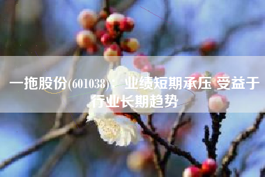 一拖股份(601038)：业绩短期承压 受益于行业长期趋势