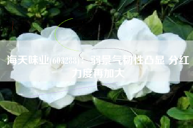 海天味业(603288)：弱景气韧性凸显 分红力度再加大