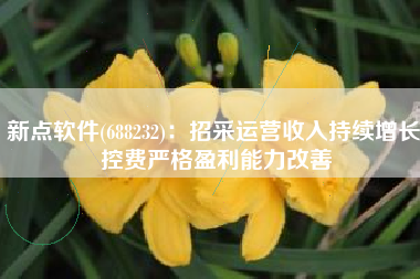 新点软件(688232)：招采运营收入持续增长 控费严格盈利能力改善