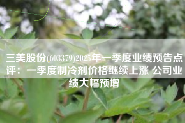 三美股份(603379)2025年一季度业绩预告点评：一季度制冷剂价格继续上涨 公司业绩大幅预增