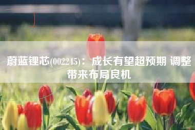 蔚蓝锂芯(002245)：成长有望超预期 调整带来布局良机