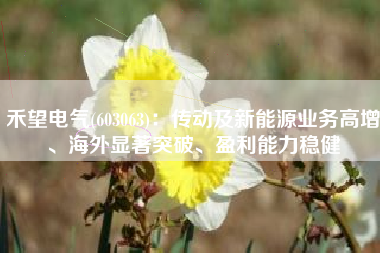禾望电气(603063)：传动及新能源业务高增、海外显著突破、盈利能力稳健