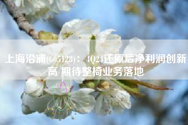 上海沿浦(605128)：4Q24还原后净利润创新高 期待整椅业务落地