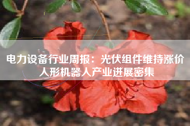 电力设备行业周报：光伏组件维持涨价 人形机器人产业进展密集