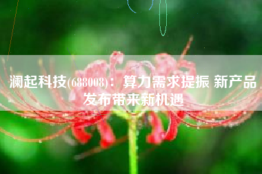 澜起科技(688008)：算力需求提振 新产品发布带来新机遇