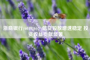 浙商银行(601916)：信贷投放增速稳定 投资收益贡献显著