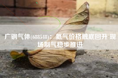 广钢气体(688548)：氦气价格触底回升 现场制气稳步推进