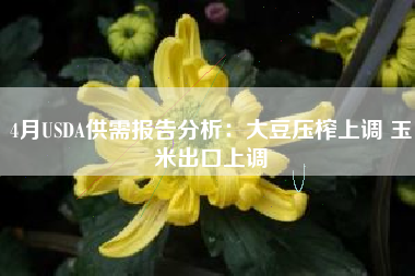 4月USDA供需报告分析：大豆压榨上调 玉米出口上调