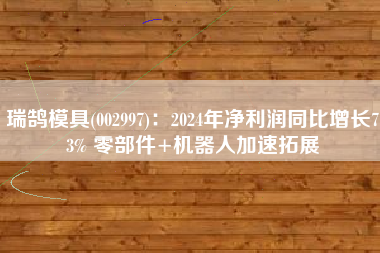 瑞鹄模具(002997)：2024年净利润同比增长73% 零部件+机器人加速拓展