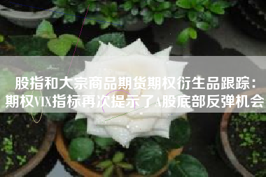 股指和大宗商品期货期权衍生品跟踪：期权VIX指标再次提示了A股底部反弹机会