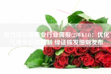 电力及公用事业行业周报(25WK14)：优化气电水价格机制 绿证核发细则发布