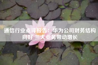 通信行业点评报告：华为公司财务结构向好 三大业务带动增长