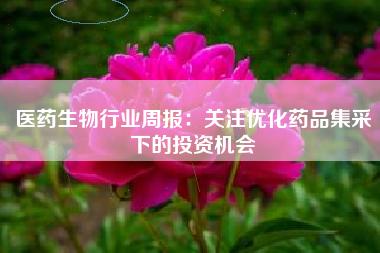医药生物行业周报：关注优化药品集采下的投资机会
