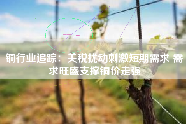 铜行业追踪：关税扰动刺激短期需求 需求旺盛支撑铜价走强
