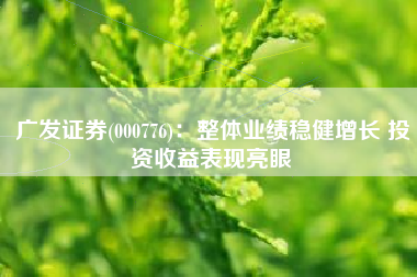广发证券(000776)：整体业绩稳健增长 投资收益表现亮眼