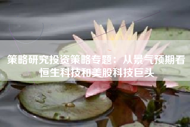 策略研究投资策略专题：从景气预期看恒生科技和美股科技巨头