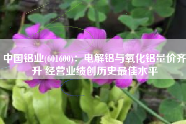 中国铝业(601600)：电解铝与氧化铝量价齐升 经营业绩创历史最佳水平