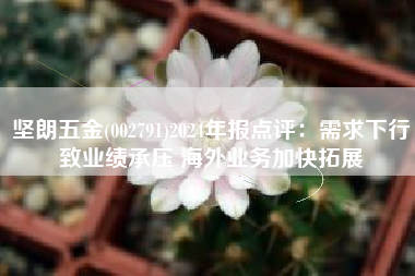 坚朗五金(002791)2024年报点评：需求下行致业绩承压 海外业务加快拓展