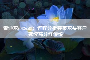 雪迪龙(002658)：过程分析突破龙头客户 延续高分红传统