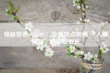 领益智造(002600)：业绩拐点明确 “人眼折服”驱动新增长