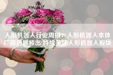 人形机器人行业周报：人形机器人本体厂商进展频出 持续关注人形机器人板块