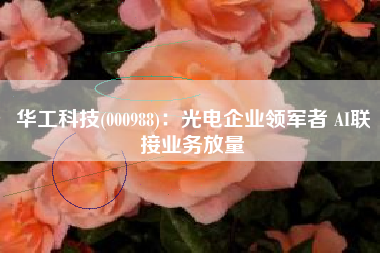华工科技(000988)：光电企业领军者 AI联接业务放量