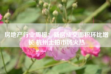 房地产行业周报：新房成交面积环比增长 杭州土拍市场火热