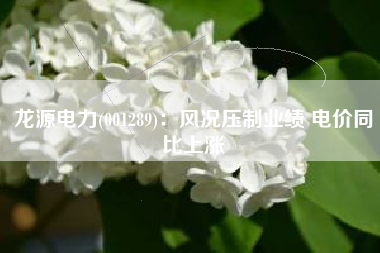 龙源电力(001289)：风况压制业绩 电价同比上涨