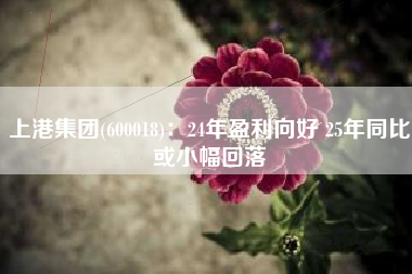 上港集团(600018)：24年盈利向好 25年同比或小幅回落