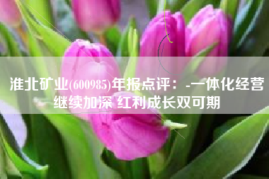 淮北矿业(600985)年报点评：-一体化经营继续加深 红利成长双可期