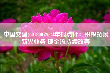 中国交建(601800)2024年报点评：积极拓展新兴业务 现金流持续改善