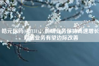 皓元医药(688131)：前端业务保持高速增长 后端业务有望边际改善