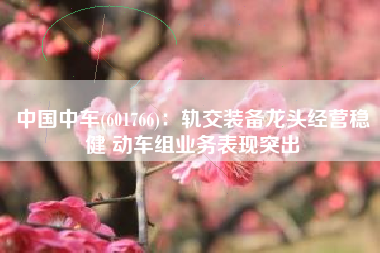 中国中车(601766)：轨交装备龙头经营稳健 动车组业务表现突出