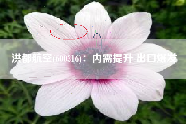 洪都航空(600316)：内需提升 出口爆发