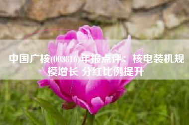 中国广核(003816)年报点评：核电装机规模增长 分红比例提升