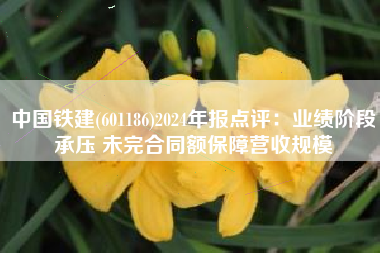 中国铁建(601186)2024年报点评：业绩阶段承压 未完合同额保障营收规模