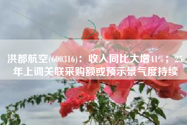 洪都航空(600316)：收入同比大增41%；25年上调关联采购额或预示景气度持续
