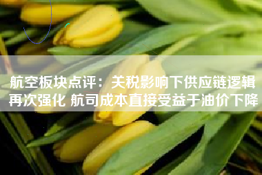 航空板块点评：关税影响下供应链逻辑再次强化 航司成本直接受益于油价下降
