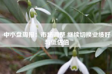 中小盘周报：市场调整 继续切换业绩好与低估值