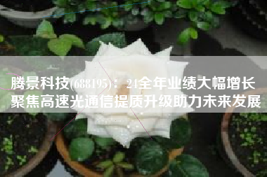 腾景科技(688195)：24全年业绩大幅增长 聚焦高速光通信提质升级助力未来发展